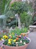 aug 2008 063